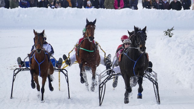 爆冷！世界亚军3人出局，张本智和2人崩盘，1位16岁少女能掀翻国乒霸权吗？